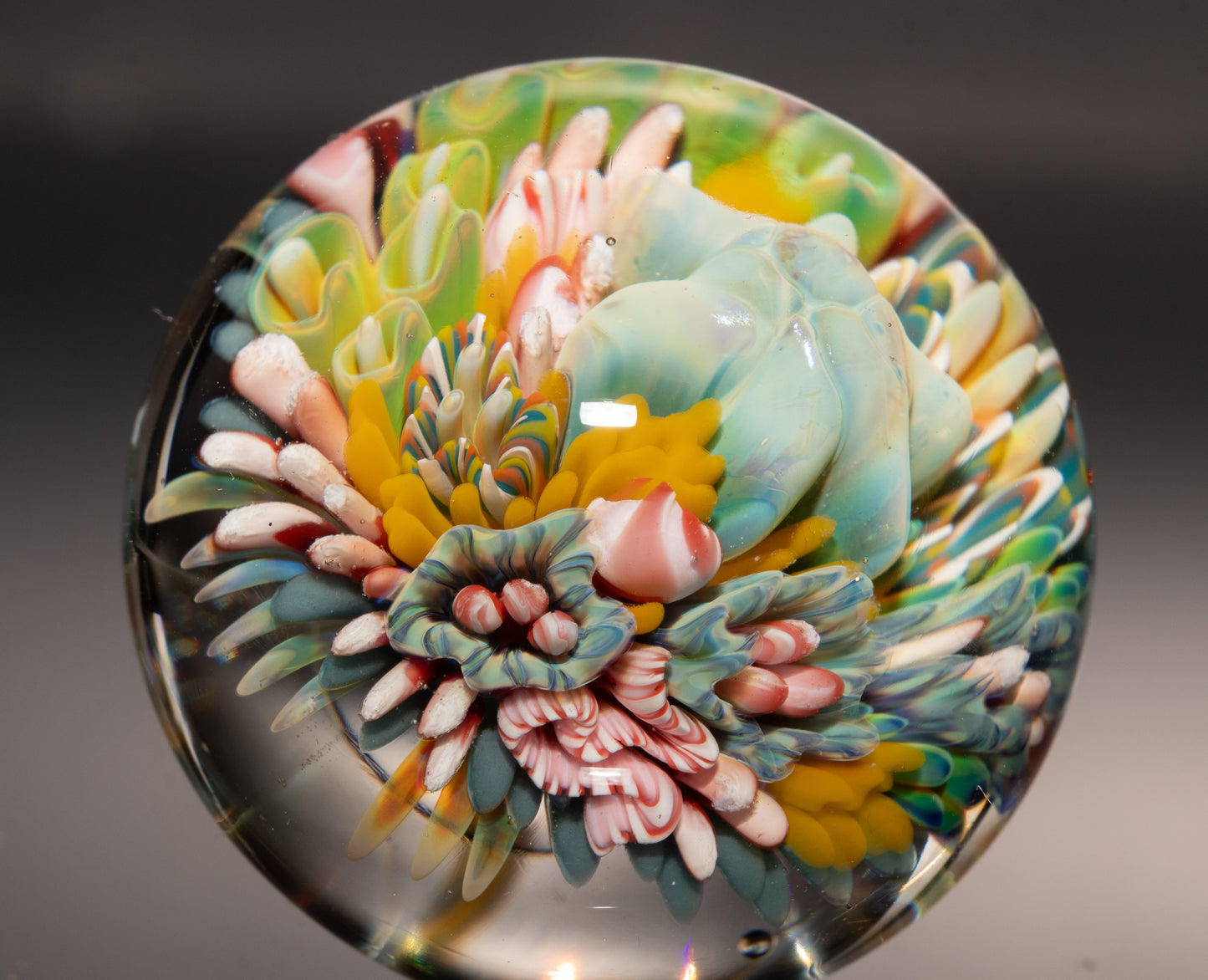 Marine Life Glass Marble | Coral Reef Borosilicate Art Sphere | Handmade Ocean Collectible | Scuba Diving Gift