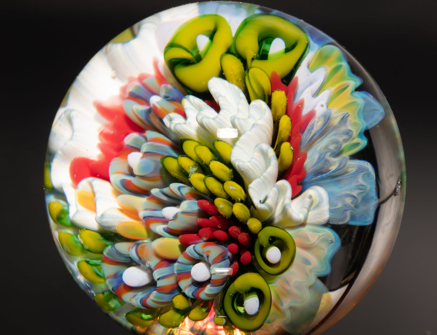 Handmade Coral Reef Glass Marble | Ocean Inspired Collectible Sphere | Beach House Decor | Diver Gift Idea