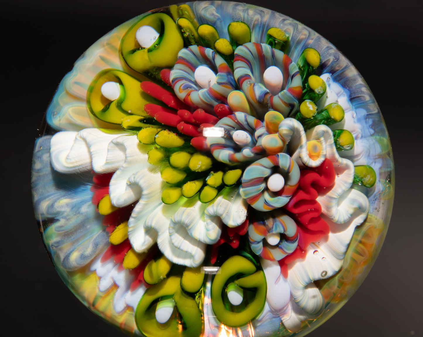 Handmade Coral Reef Glass Marble | Ocean Inspired Collectible Sphere | Beach House Decor | Diver Gift Idea