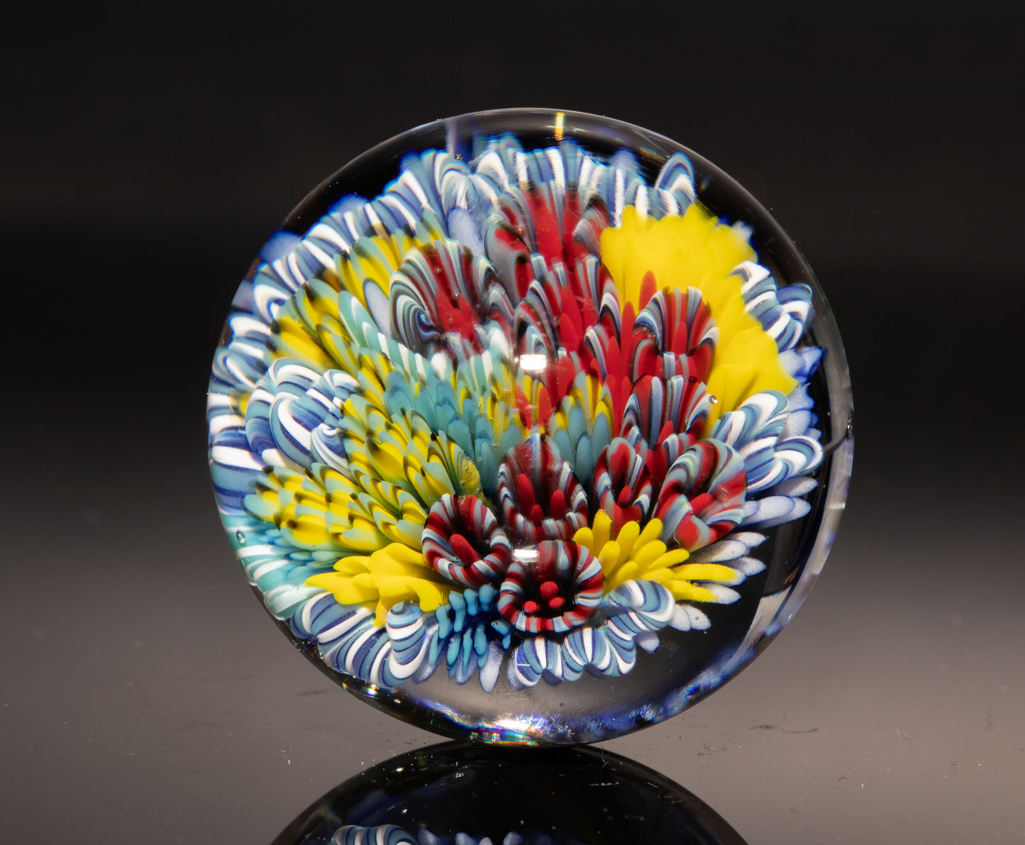 Sea Life Glass Marble | Coral Reef Borosilicate Sphere | Handmade Ocean Art Collectible | Nautical Decor Gift
