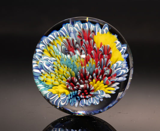 Sea Life Glass Marble | Coral Reef Borosilicate Sphere | Handmade Ocean Art Collectible | Nautical Decor Gift