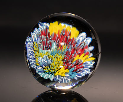Sea Life Glass Marble | Coral Reef Borosilicate Sphere | Handmade Ocean Art Collectible | Nautical Decor Gift