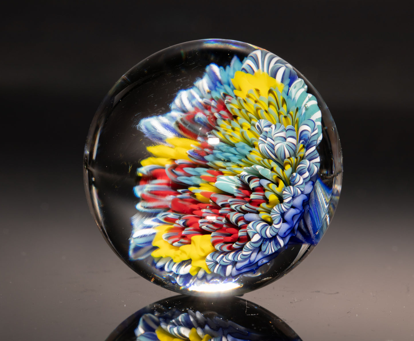 Sea Life Glass Marble | Coral Reef Borosilicate Sphere | Handmade Ocean Art Collectible | Nautical Decor Gift