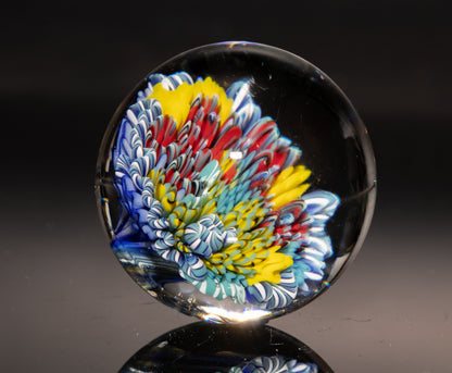 Sea Life Glass Marble | Coral Reef Borosilicate Sphere | Handmade Ocean Art Collectible | Nautical Decor Gift