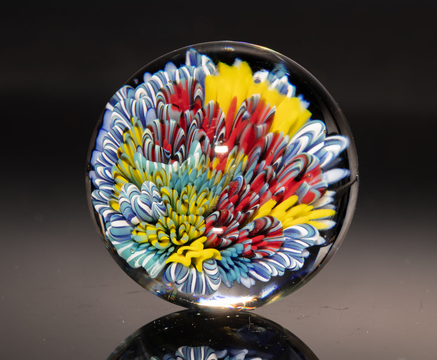Sea Life Glass Marble | Coral Reef Borosilicate Sphere | Handmade Ocean Art Collectible | Nautical Decor Gift