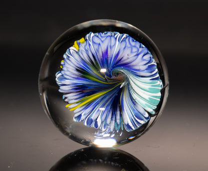 Sea Life Glass Marble | Coral Reef Borosilicate Sphere | Handmade Ocean Art Collectible | Nautical Decor Gift