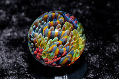 Coral Reef Glass Marble Set | 25mm Glass Marbles | Handblown Borosilicate Glass | Collectible Functional Glass