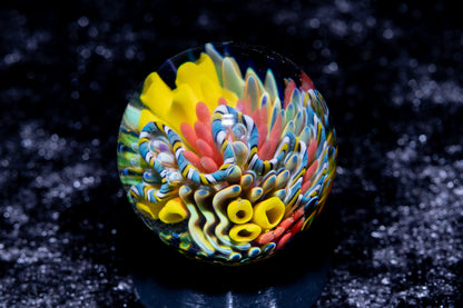 Coral Reef Glass Marble Set | 25mm Glass Marbles | Handblown Borosilicate Glass | Collectible Functional Glass