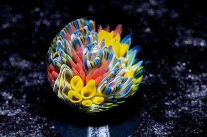 Coral Reef Glass Marble Set | 25mm Glass Marbles | Handblown Borosilicate Glass | Collectible Functional Glass