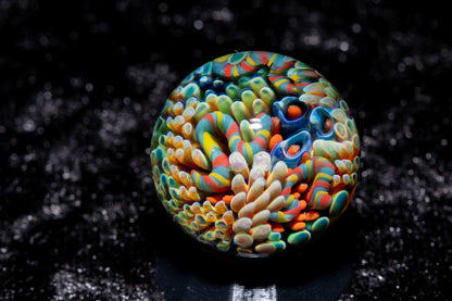 Coral Reef Glass Marble Set | 25mm Glass Marbles | Handblown Borosilicate Glass | Collectible Functional Glass