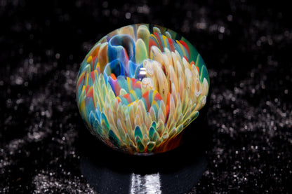 Coral Reef Glass Marble Set | 25mm Glass Marbles | Handblown Borosilicate Glass | Collectible Functional Glass