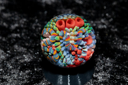 Coral Reef Glass Marble Set | 25mm Glass Marbles | Handblown Borosilicate Glass | Collectible Functional Glass