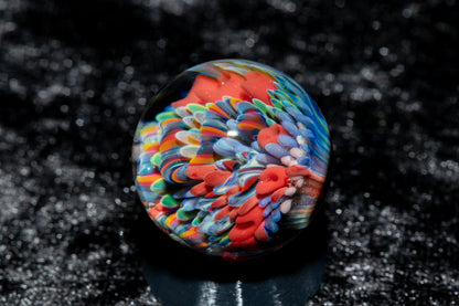 Coral Reef Glass Marble Set | 25mm Glass Marbles | Handblown Borosilicate Glass | Collectible Functional Glass