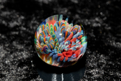 Coral Reef Glass Marble Set | 25mm Glass Marbles | Handblown Borosilicate Glass | Collectible Functional Glass