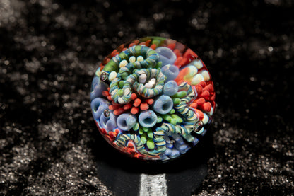 Coral Reef Glass Marble Set | 25mm Glass Marbles | Handblown Borosilicate Glass | Collectible Functional Glass