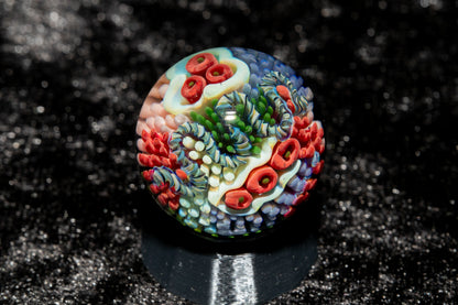 Coral Reef Glass Marble Set | 25mm Glass Marbles | Handblown Borosilicate Glass | Collectible Functional Glass