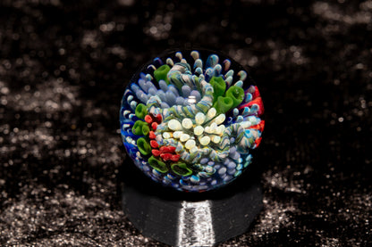 Coral Reef Glass Marble Set | 25mm Glass Marbles | Handblown Borosilicate Glass | Collectible Functional Glass