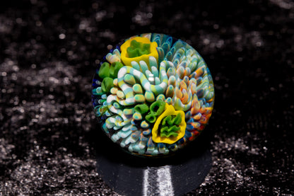 Coral Reef Glass Marble Set | 25mm Glass Marbles | Handblown Borosilicate Glass | Collectible Functional Glass