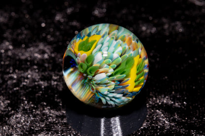 Coral Reef Glass Marble Set | 25mm Glass Marbles | Handblown Borosilicate Glass | Collectible Functional Glass