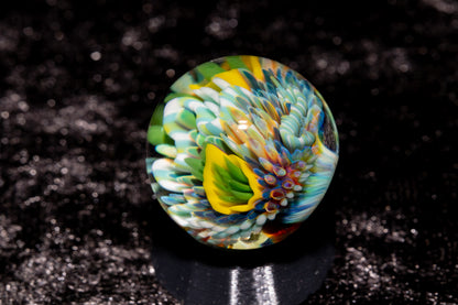 Coral Reef Glass Marble Set | 25mm Glass Marbles | Handblown Borosilicate Glass | Collectible Functional Glass