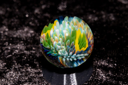 Coral Reef Glass Marble Set | 25mm Glass Marbles | Handblown Borosilicate Glass | Collectible Functional Glass