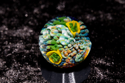Coral Reef Glass Marble Set | 25mm Glass Marbles | Handblown Borosilicate Glass | Collectible Functional Glass