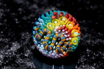 Coral Reef Glass Marble Set | 25mm Glass Marbles | Handblown Borosilicate Glass | Collectible Functional Glass