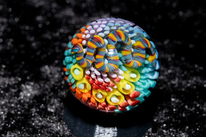 Coral Reef Glass Marble Set | 25mm Glass Marbles | Handblown Borosilicate Glass | Collectible Functional Glass