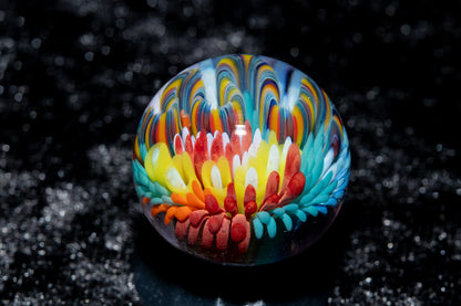 Coral Reef Glass Marble Set | 25mm Glass Marbles | Handblown Borosilicate Glass | Collectible Functional Glass