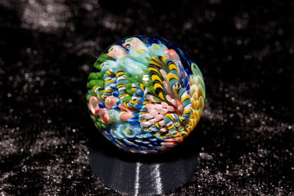 Coral Reef Glass Marble Set | 25mm Glass Marbles | Handblown Borosilicate Glass | Collectible Functional Glass