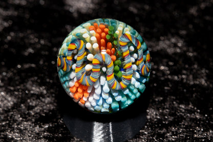 Coral Reef Glass Marble Set | 25mm Glass Marbles | Handblown Borosilicate Glass | Collectible Functional Glass