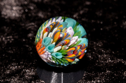 Coral Reef Glass Marble Set | 25mm Glass Marbles | Handblown Borosilicate Glass | Collectible Functional Glass