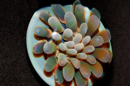 Cosmic Dot Implosion Pendant | Galaxy Floral Glass Necklace | Sea Anemone Inspired Jewelry | Handcrafted Art Glass