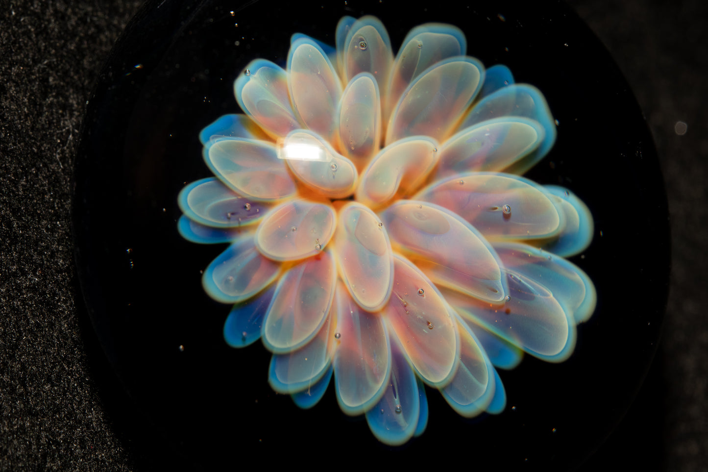 Cosmic Dot Implosion Pendant | Galaxy Floral Glass Necklace | Sea Anemone Inspired Jewelry | Handcrafted Art Glass