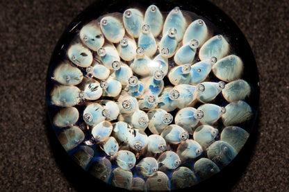 Floral Galaxy Glass Pendant | Space Anemone Necklace | Implosion Art Jewelry | Air Trap Nebula Pendant | One of a Kind Glass