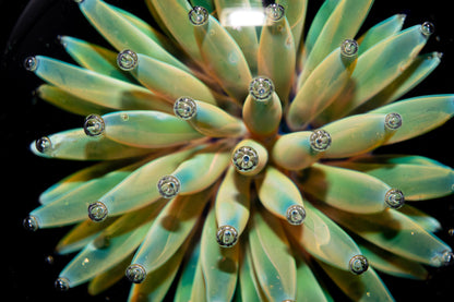 Floral Galaxy Glass Pendant | Space Anemone Necklace | Implosion Art Jewelry | Air Trap Nebula Pendant | One of a Kind Glass