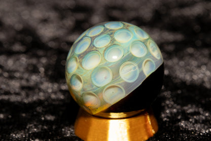 Lotus Pod Glass Marble Set | 25mm Glass Marbles | Handblown Borosilicate Glass | Collectible Functional