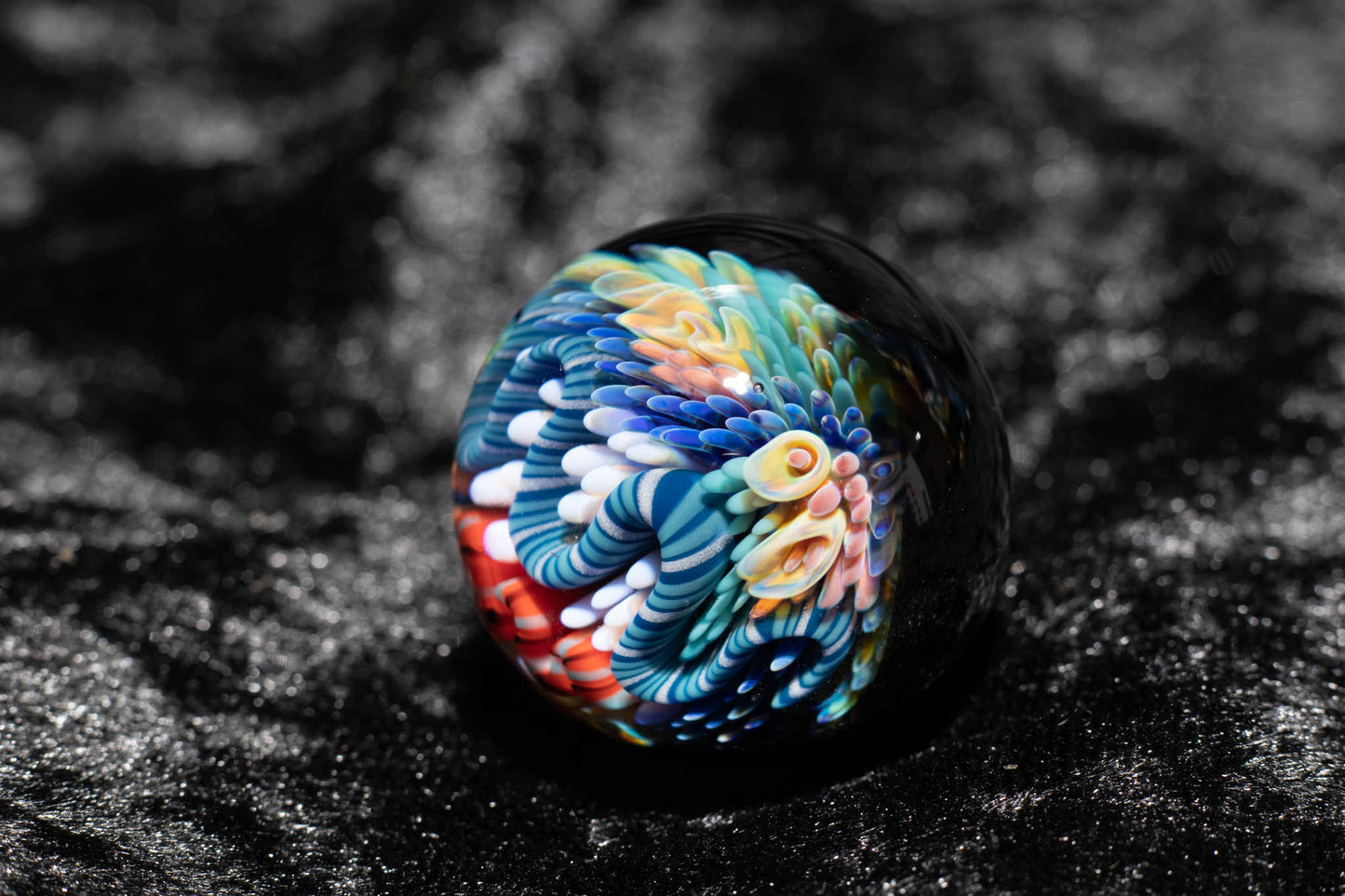 Large Coral Reef Display Marble | Glass Ocean Marble | Hider Marbles | Big Borosilicate Glass Marbles