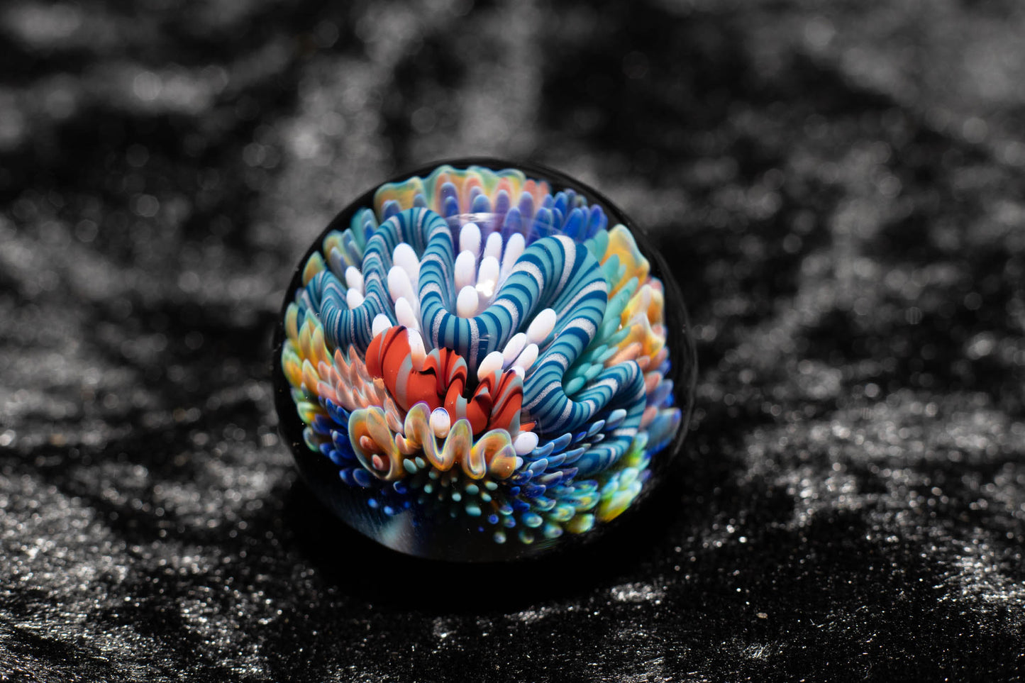 Large Coral Reef Display Marble | Glass Ocean Marble | Hider Marbles | Big Borosilicate Glass Marbles