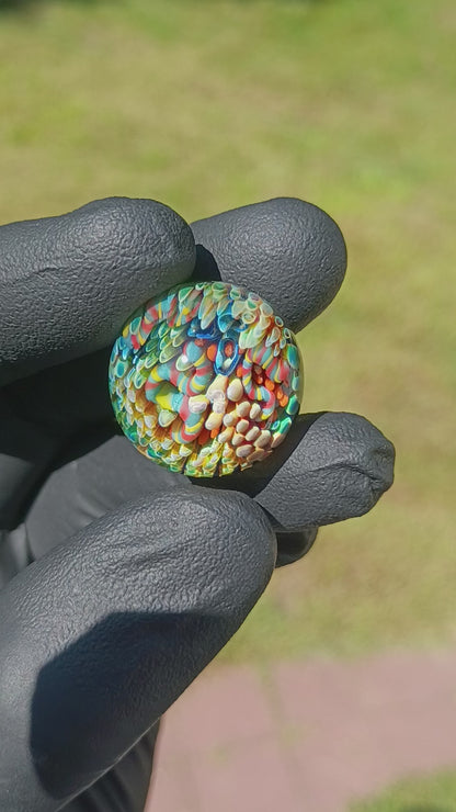 Coral Reef Glass Marble Set | 25mm Glass Marbles | Handblown Borosilicate Glass | Collectible Functional Glass