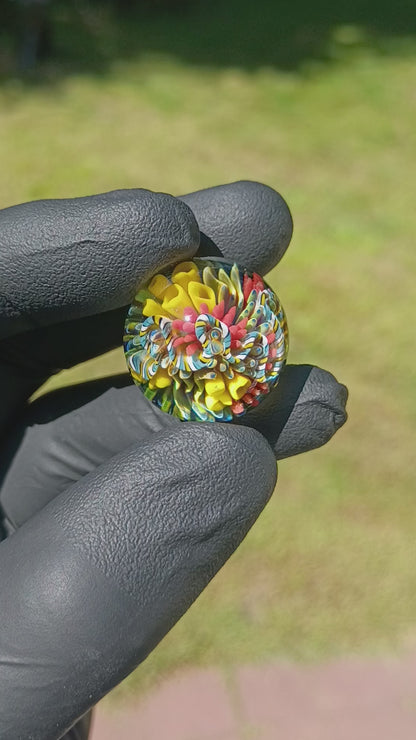 Coral Reef Glass Marble Set | 25mm Glass Marbles | Handblown Borosilicate Glass | Collectible Functional Glass