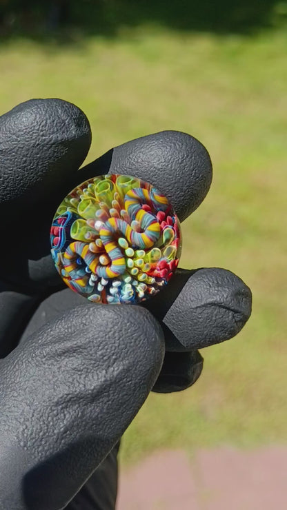 Coral Reef Glass Marble Set | 25mm Glass Marbles | Handblown Borosilicate Glass | Collectible Functional Glass