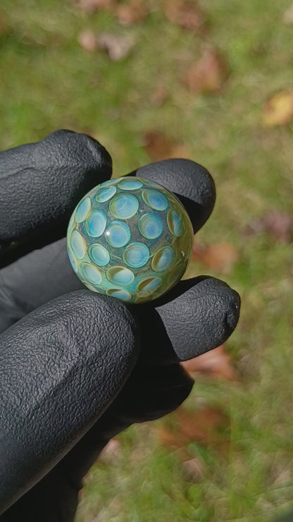 Lotus Pod Glass Marble Set | 25mm Glass Marbles | Handblown Borosilicate Glass | Collectible Functional