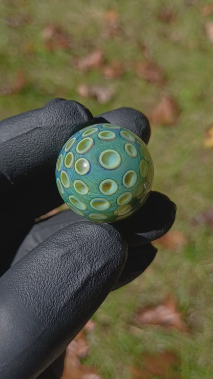 Lotus Pod Glass Marble Set | 25mm Glass Marbles | Handblown Borosilicate Glass | Collectible Functional