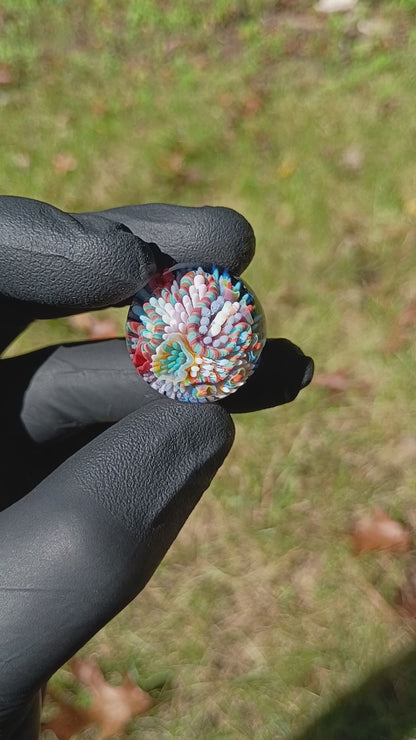 Coral Reef Glass Marble Set | 25mm Glass Marbles | Handblown Borosilicate Glass | Collectible Functional Glass