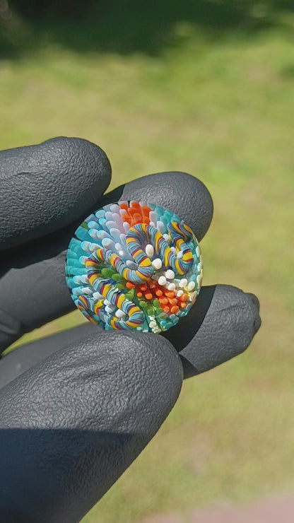 Coral Reef Glass Marble Set | 25mm Glass Marbles | Handblown Borosilicate Glass | Collectible Functional Glass