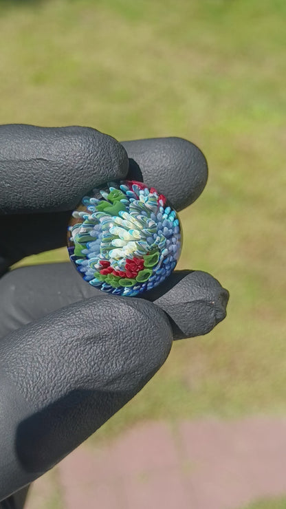 Coral Reef Glass Marble Set | 25mm Glass Marbles | Handblown Borosilicate Glass | Collectible Functional Glass