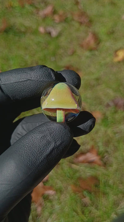 Mushroom Glass Marble Set | 25mm Glass Marbles | Handblown Borosilicate Glass | Collectible Functional Glass