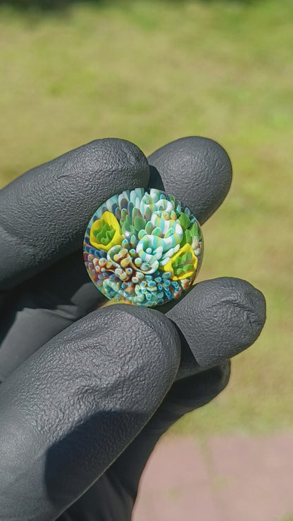 Coral Reef Glass Marble Set | 25mm Glass Marbles | Handblown Borosilicate Glass | Collectible Functional Glass