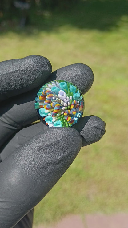 Coral Reef Glass Marble Set | 25mm Glass Marbles | Handblown Borosilicate Glass | Collectible Functional Glass